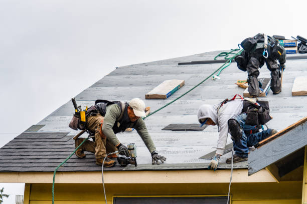 Professional Gutter Installation technician working in Lascassas, TN